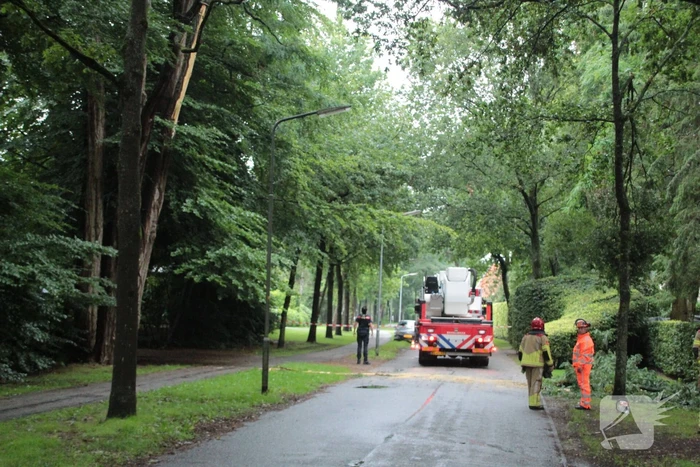Loshangende tak zorgt voor gevaarlijke situatie