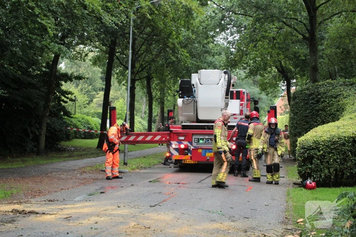 Loshangende tak zorgt voor gevaarlijke situatie