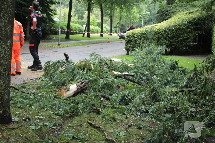 Loshangende tak zorgt voor gevaarlijke situatie