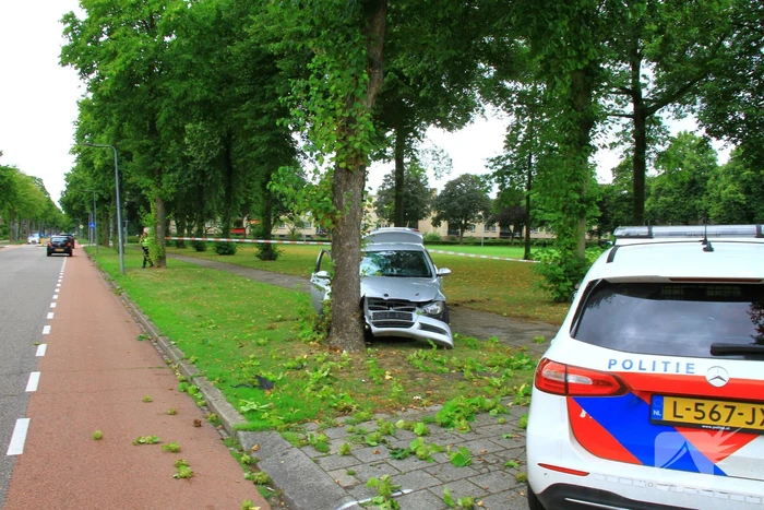 Auto botst frontaal tegen boom, bestuurder spoorloos