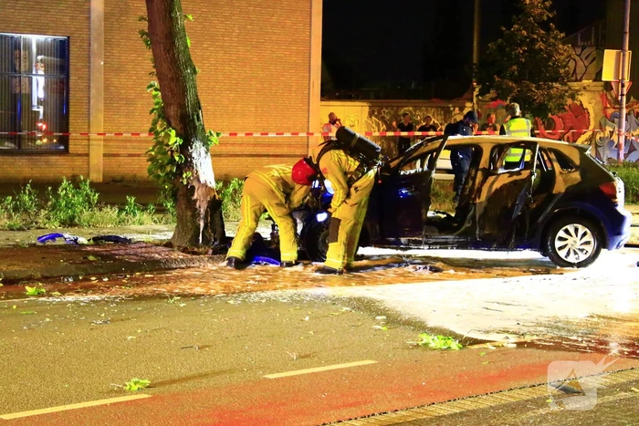 Auto in brand na frontale botsing tegen boom, twee gewonden