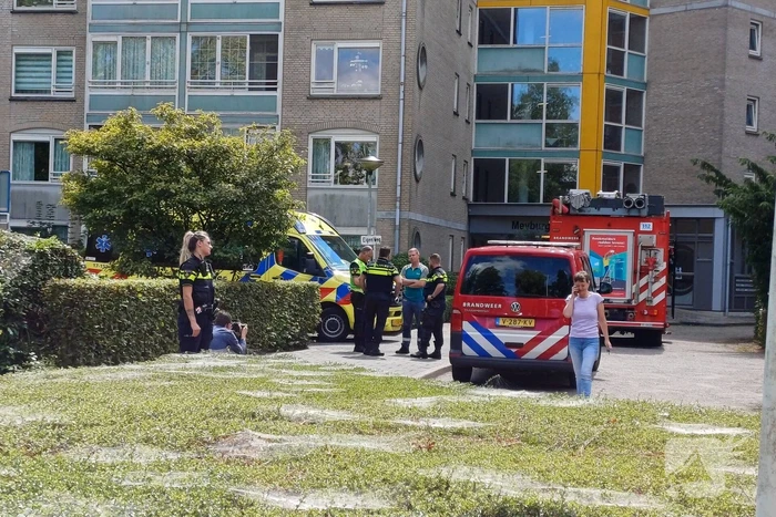Chemische geur in kelderbox