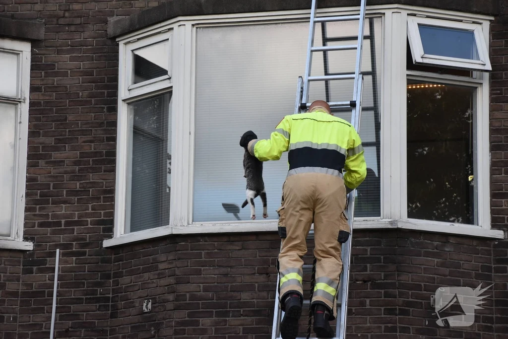 Dirk Huizingastraat 112 meldingen Groningen 