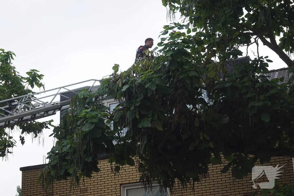Wildemanskruid 112 nieuws Amersfoort 