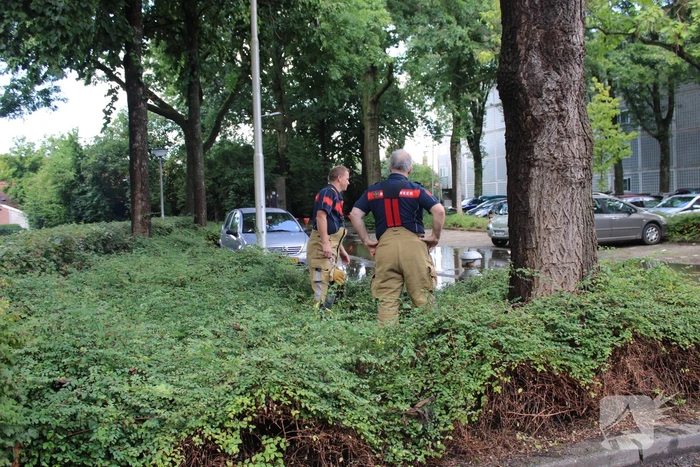 Straat blank na aanrijding met brandkraan