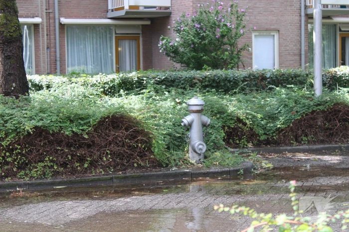Straat blank na aanrijding met brandkraan