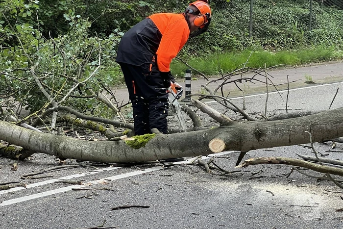 Omgevallen boom blokkeert de weg