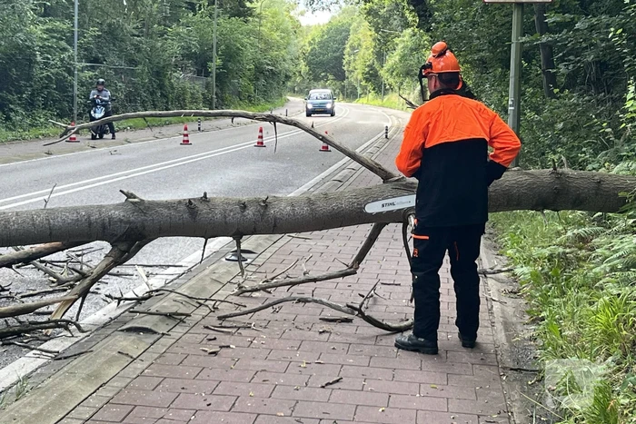Omgevallen boom blokkeert de weg