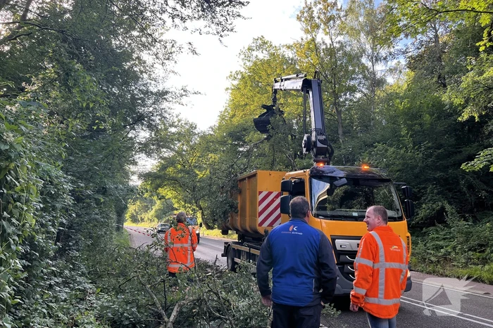 Omgevallen boom blokkeert de weg