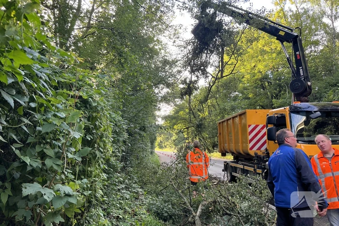 Omgevallen boom blokkeert de weg
