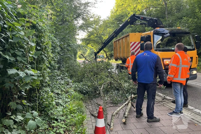 Omgevallen boom blokkeert de weg