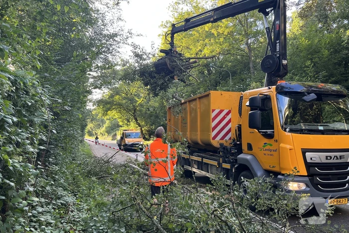 Omgevallen boom blokkeert de weg