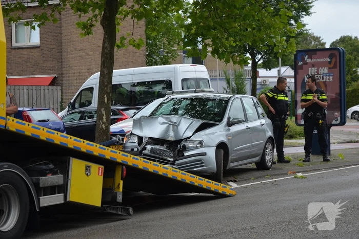 Auto rijdt op boom