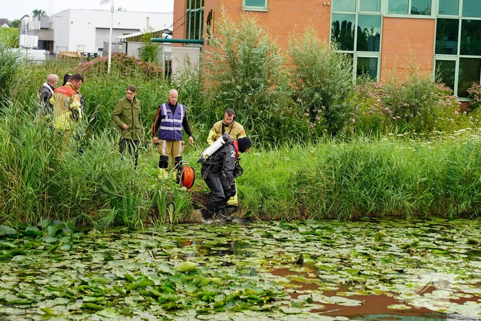 Duikers zoeken naar mogelijk persoon te water