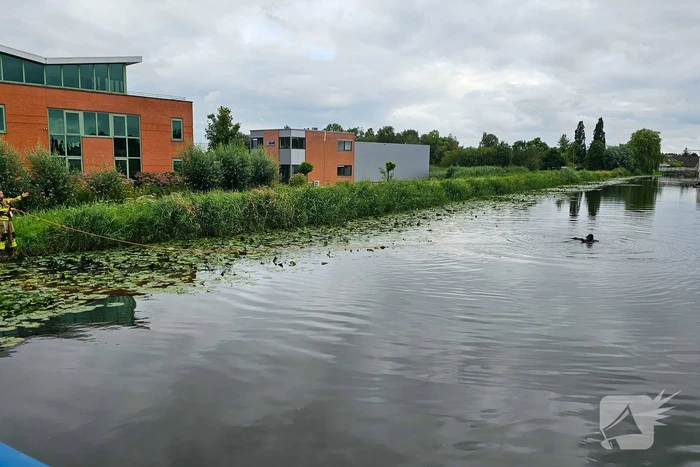 Duikers zoeken naar mogelijk persoon te water
