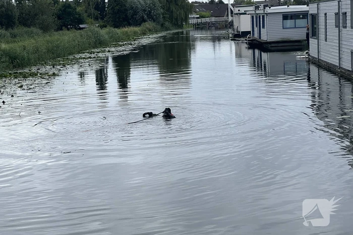 Duikers zoeken naar mogelijk persoon te water