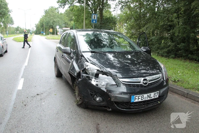 Automobilist vliegt uit de bocht en eindigt in bosschage