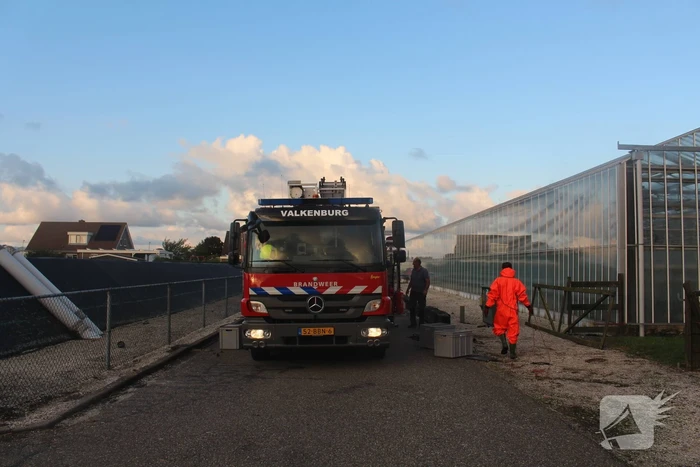 Overleden schaap aangetroffen in sloot