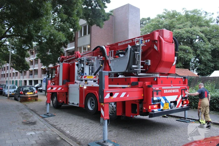 Brandweer redt kat uit boom