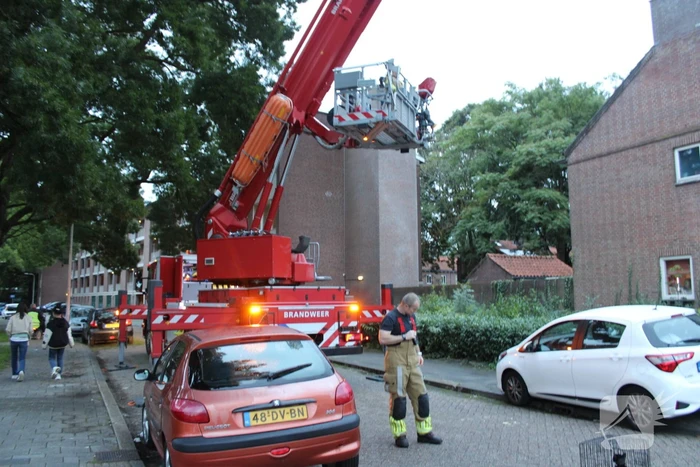 Brandweer redt kat uit boom
