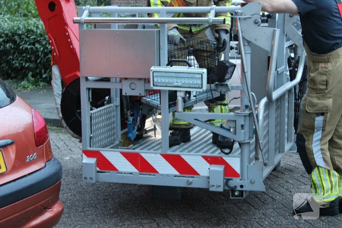 Brandweer redt kat uit boom