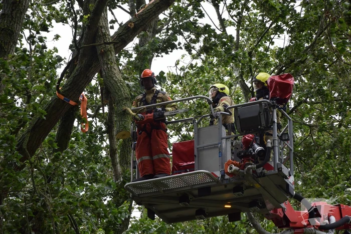 natuur roterijdijk noordgouwe
