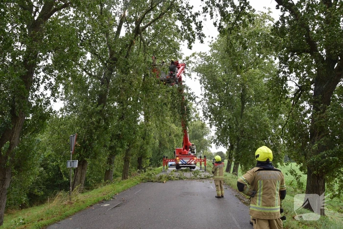 Brandweer ingezet voor afgebroken boom
