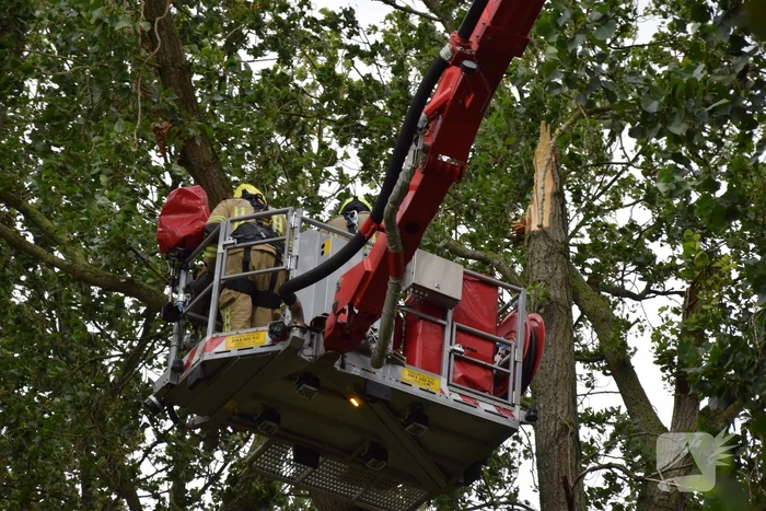Brandweer ingezet voor afgebroken boom