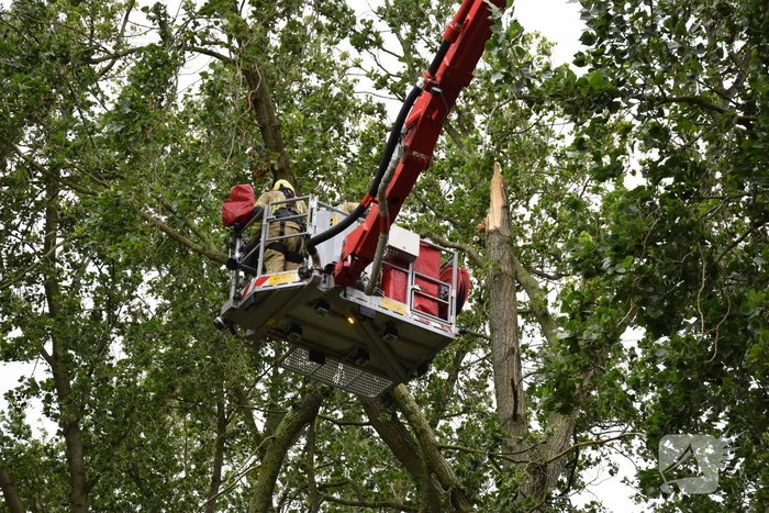 Brandweer ingezet voor afgebroken boom