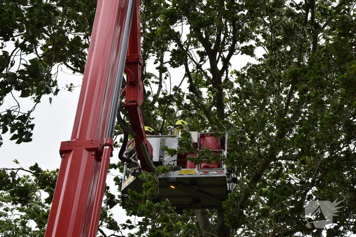 Brandweer ingezet voor afgebroken boom