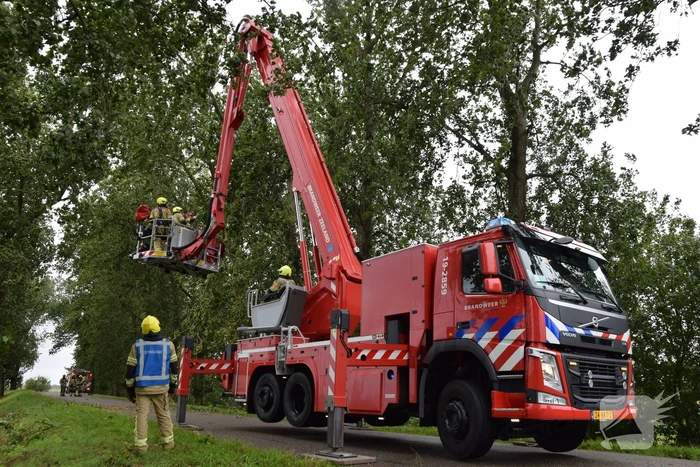 Brandweer ingezet voor afgebroken boom