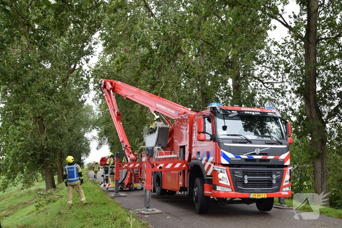 Brandweer ingezet voor afgebroken boom