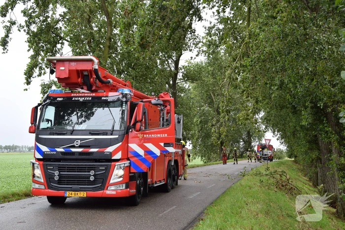 Brandweer ingezet voor afgebroken boom