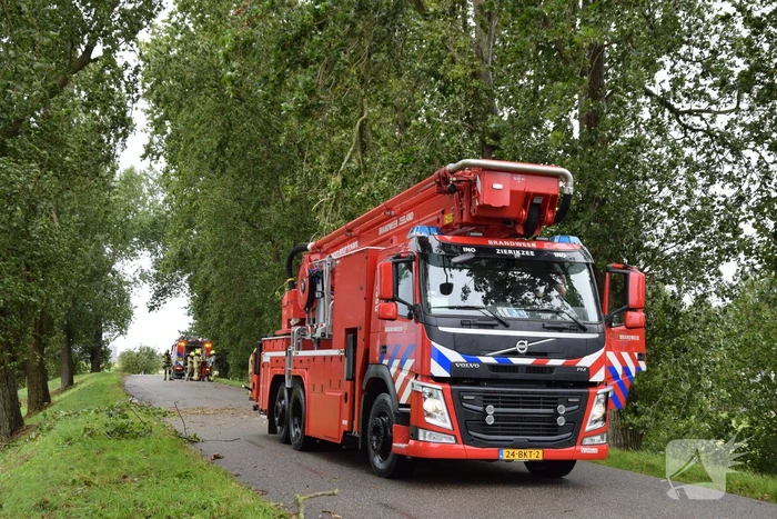 Brandweer ingezet voor afgebroken boom