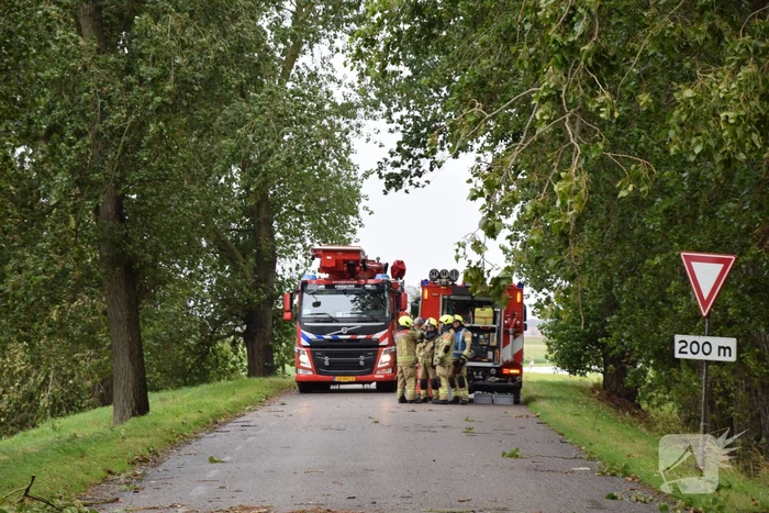Brandweer ingezet voor afgebroken boom