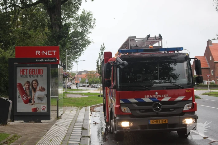 Takken van boom gezaagd na harde wind