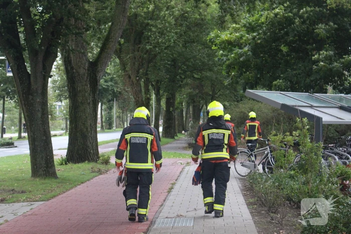 Takken van boom gezaagd na harde wind