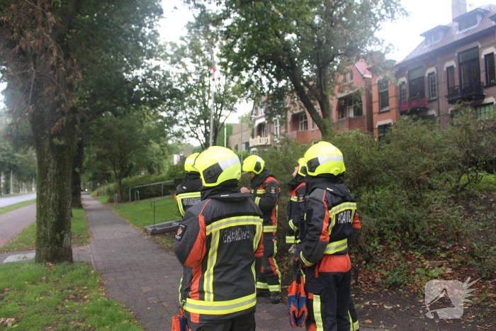 Takken van boom gezaagd na harde wind