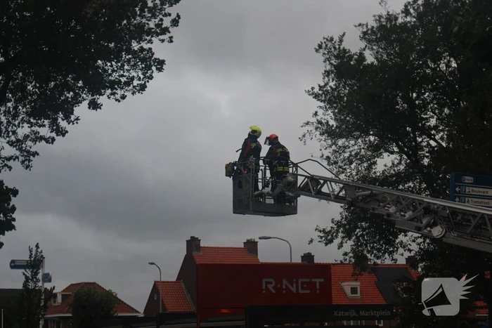 Takken van boom gezaagd na harde wind