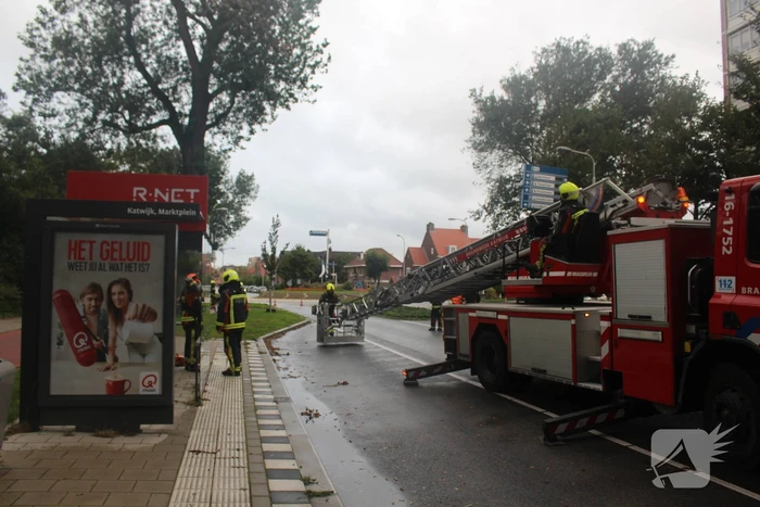 Takken van boom gezaagd na harde wind