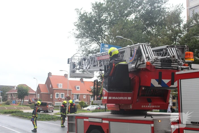 Takken van boom gezaagd na harde wind