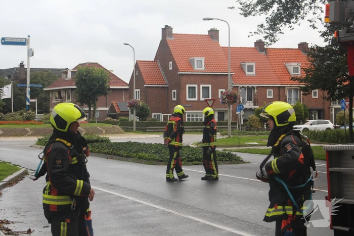 Takken van boom gezaagd na harde wind