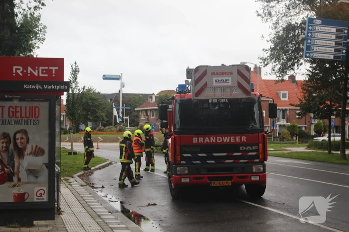 Takken van boom gezaagd na harde wind