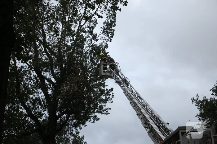 Takken van boom gezaagd na harde wind