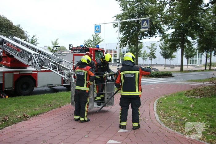 Takken van boom gezaagd na harde wind