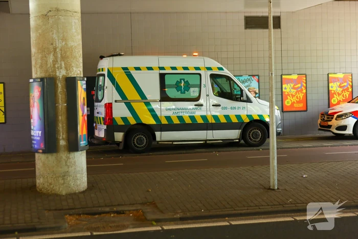 Treinverkeer stilgelegd vanwege aanrijding