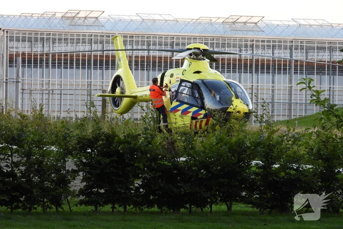 nieuws koekoeksleane berltsum