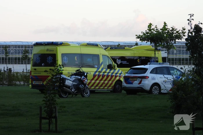 Persoon ernstig gewond na val van paard