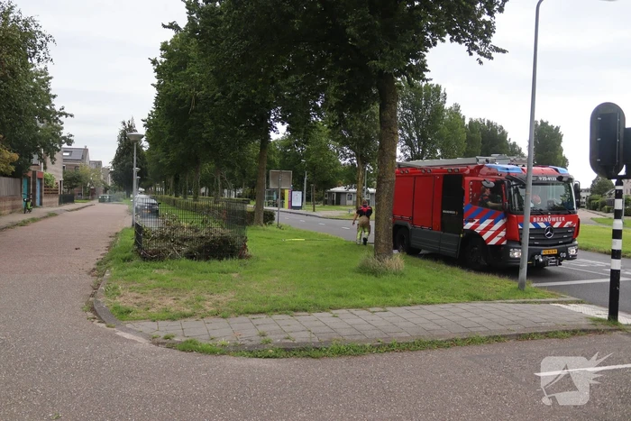 Brandweer ontdekt brand in blad- en snoeikorf