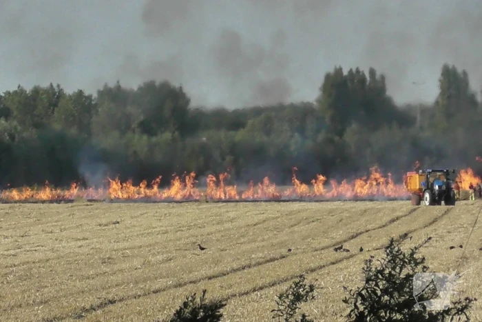 Grote brand op weiland